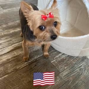 Meet your Posher, Wayne